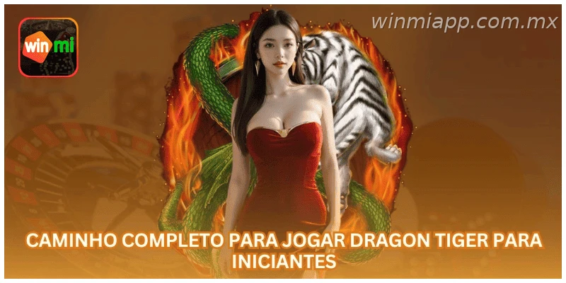 Caminho para jogar Dragon Tiger na WINMIAPP com regras e saldo em R$