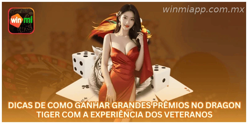 Uso responsável em Dragon Tiger na WINMIAPP com bônus e limite de banca