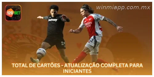Total de Cartões - Atualização Completa para Iniciantes