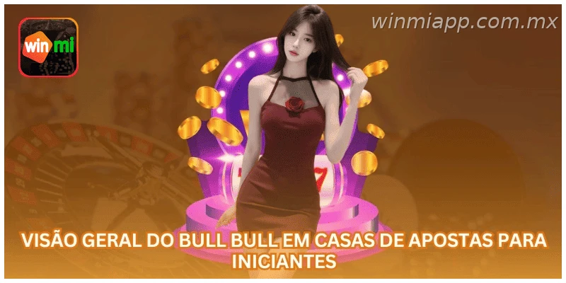 Bull Bull na WINMIAPP com regras, saldo em R$ e leitura da rodada